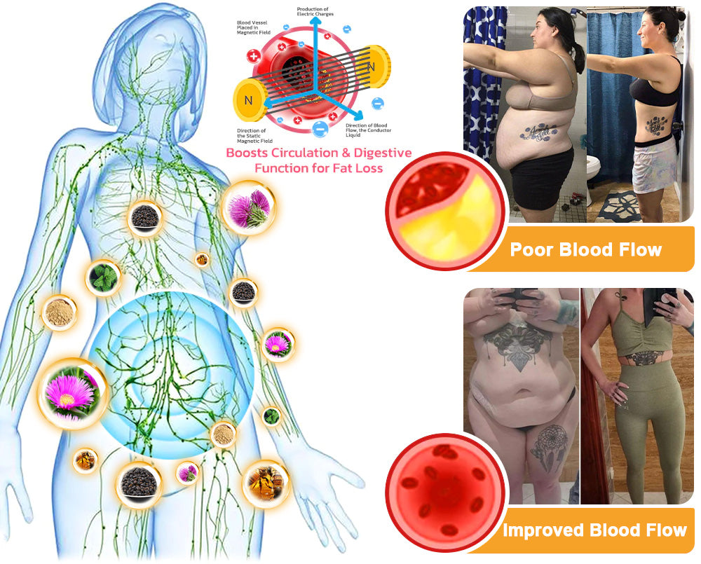 Awzlove™ Bee Venom Magnetic Therapy Lymphatic Detox Health Patch🎅🔥Limited time 70% OFF🔥(Suitable for use by individuals of all ages)